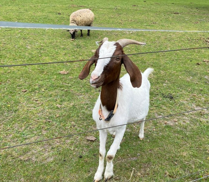 Obrázek galerie  27043