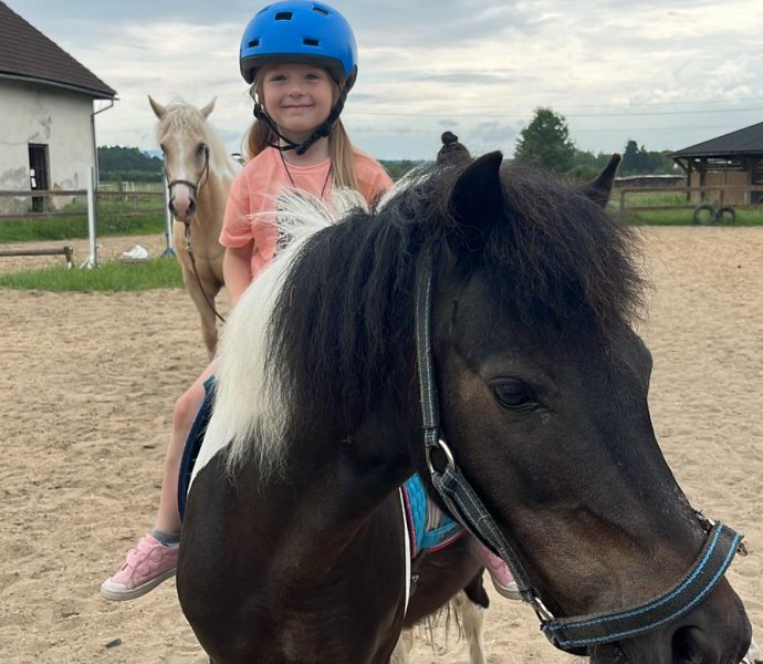 Obrázek galerie  27047