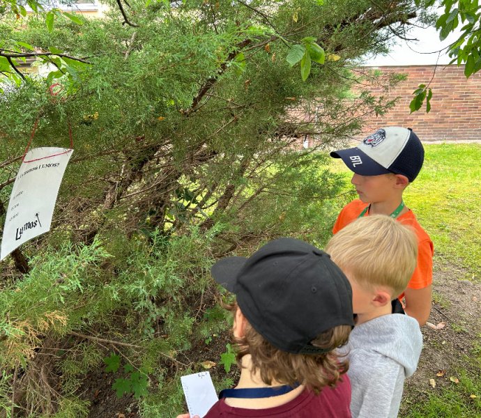 Obrázek galerie  27146