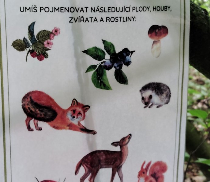 Obrázek galerie  27178