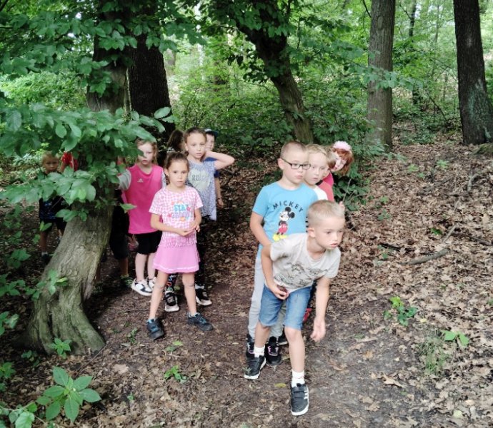 Obrázek galerie  27181