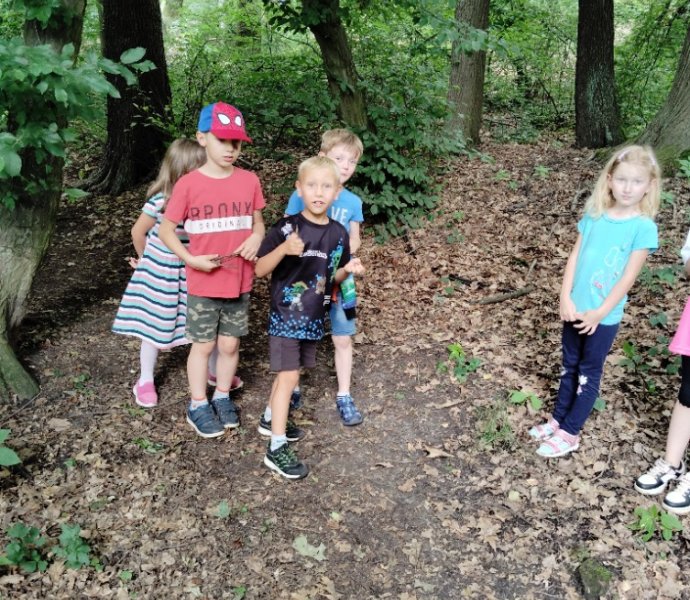 Obrázek galerie  27184