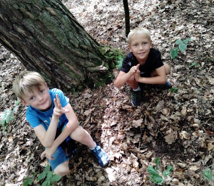 Obrázek galerie  27196