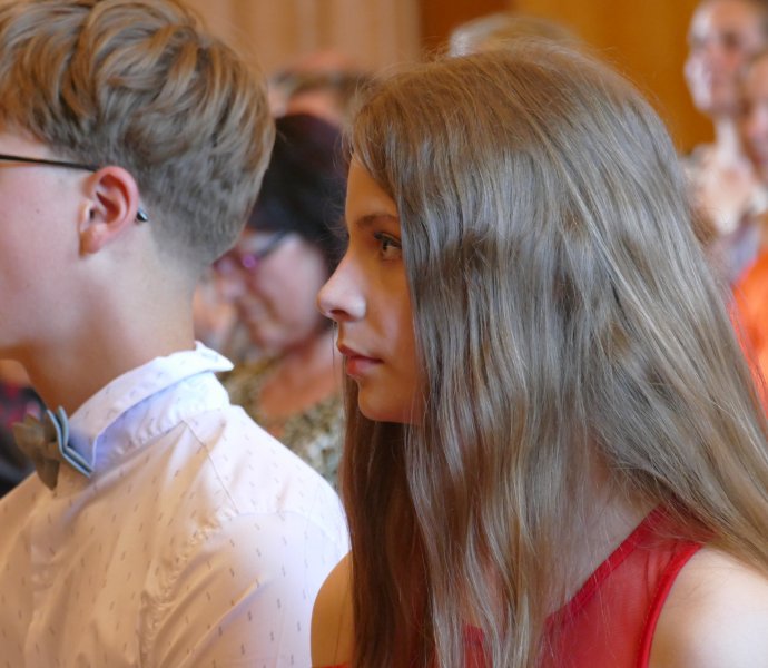 Obrázek galerie  27245