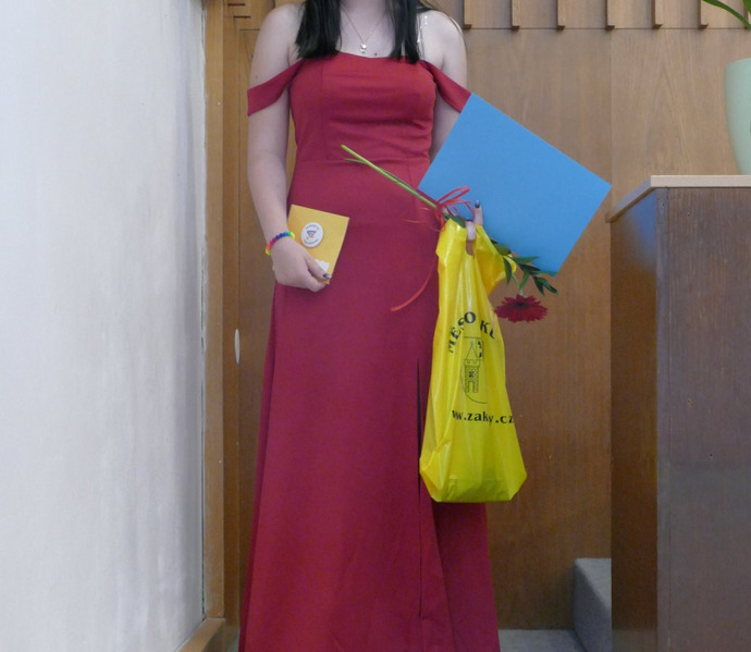 Obrázek galerie  27264