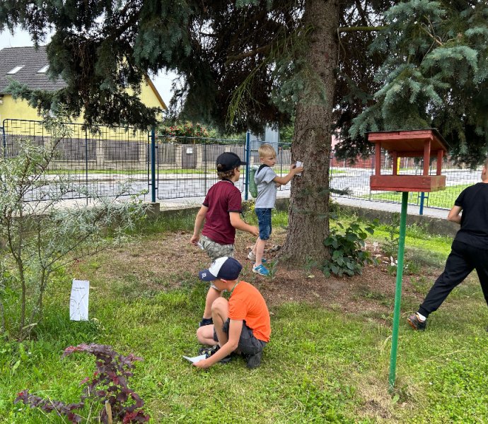 Obrázek galerie  27300