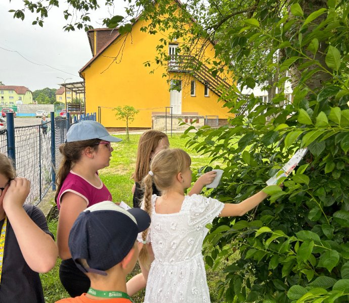 Obrázek galerie  27302