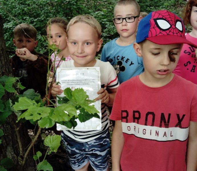 Obrázek galerie  27324