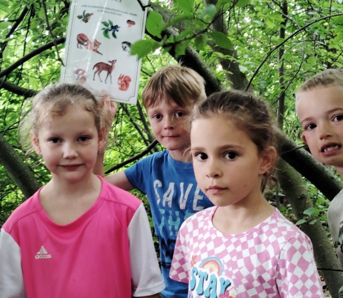 Obrázek galerie  27327