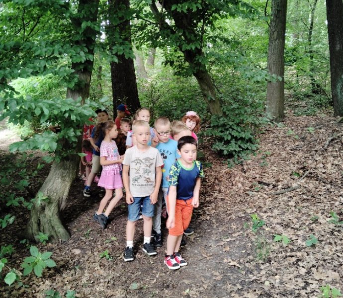 Obrázek galerie  27330