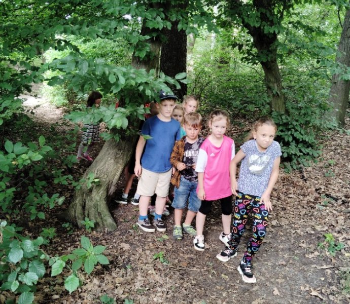 Obrázek galerie  27333