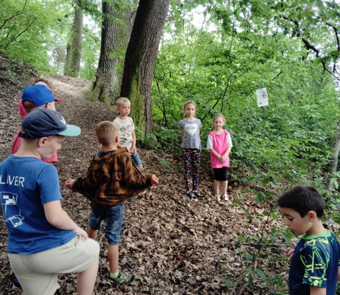 Obrázek galerie  27335