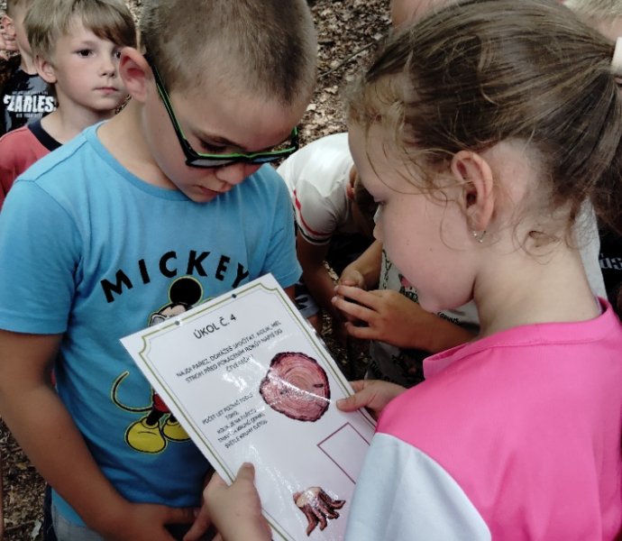 Obrázek galerie  27336