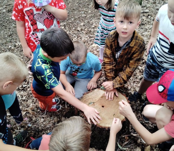 Obrázek galerie  27337