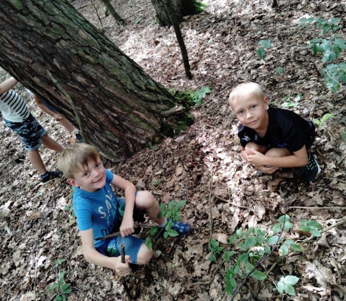 Obrázek galerie  27342