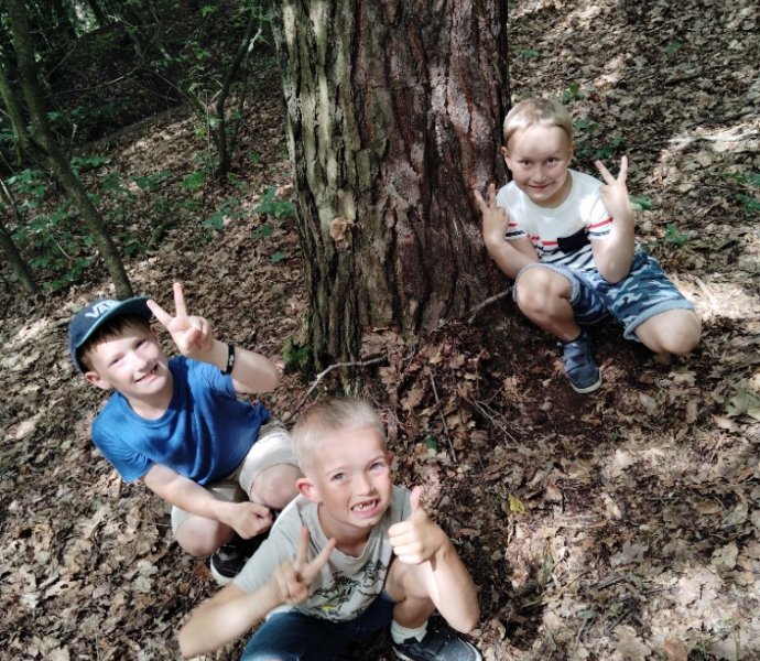 Obrázek galerie  27344