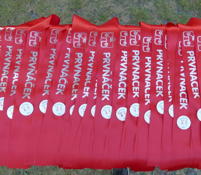 Obrázek galerie  27484