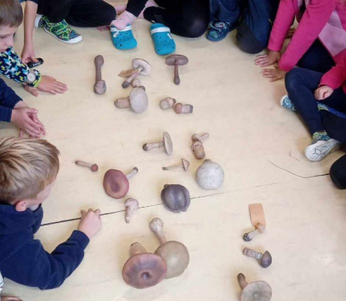 Obrázek galerie  28340