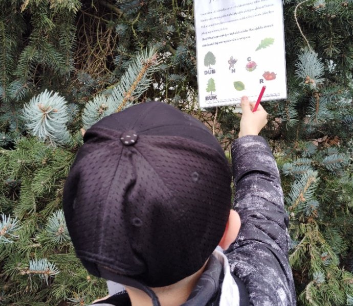 Obrázek galerie  28442