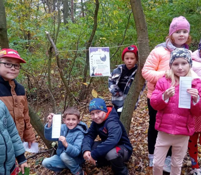 Obrázek galerie  28539