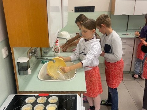 Obrázek galerie  28659