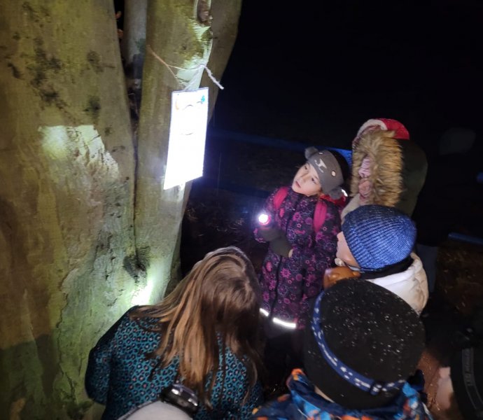 Obrázek galerie  28777