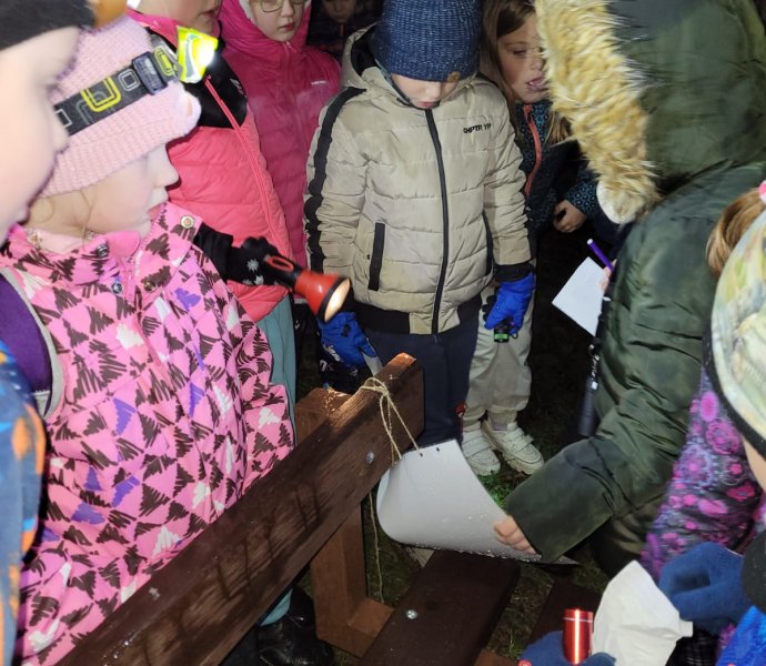 Obrázek galerie  28781