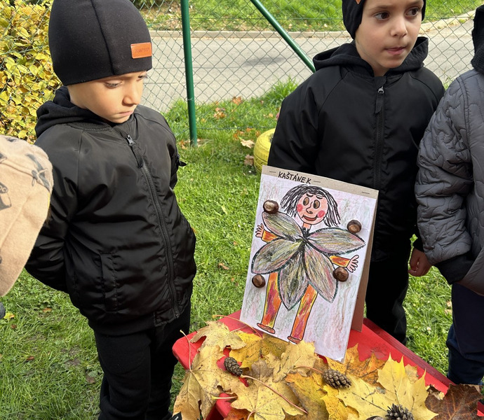 Obrázek galerie  29027