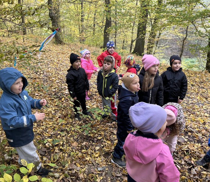 Obrázek galerie  29037