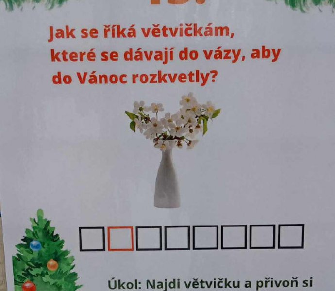 Obrázek galerie  29061