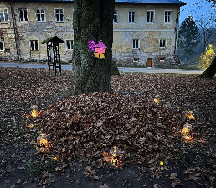 Obrázek galerie  29252