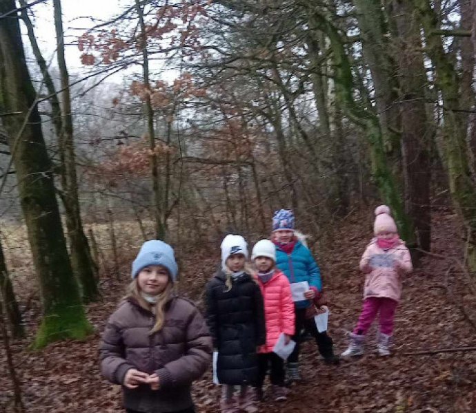 Obrázek galerie  29933