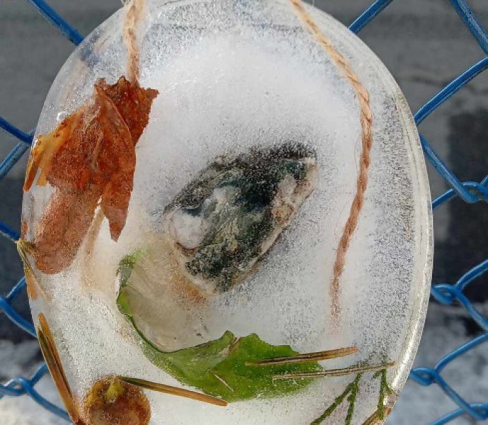 Obrázek galerie  30107