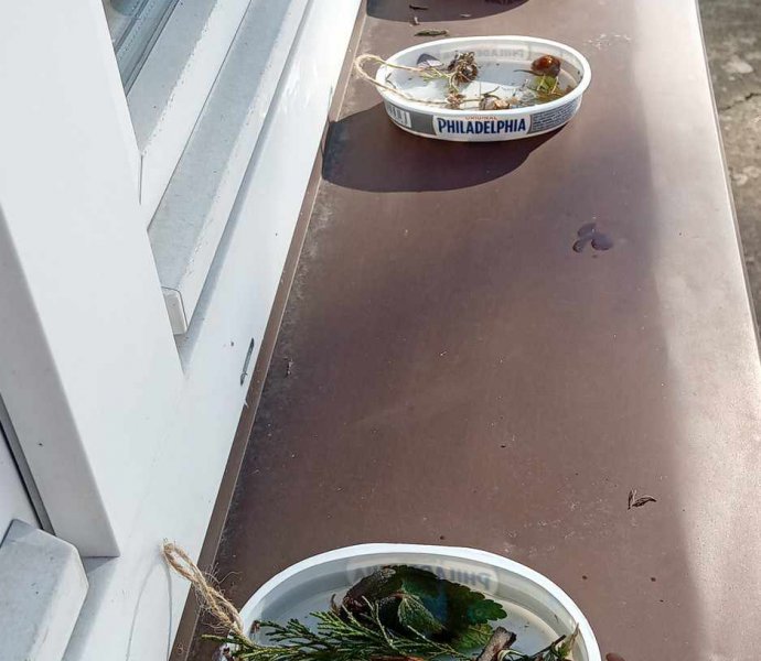 Obrázek galerie  30109