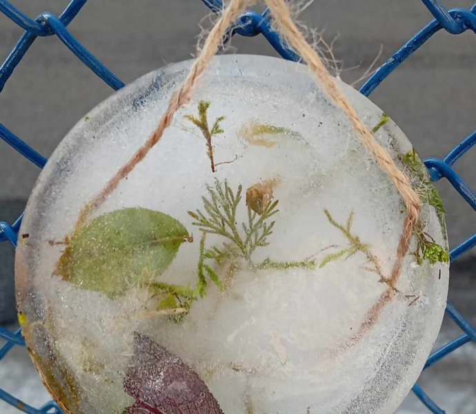 Obrázek galerie  30110