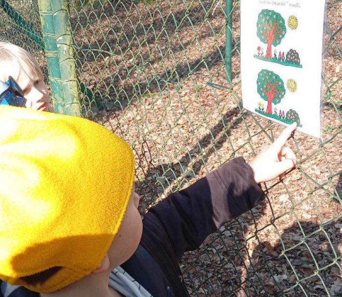 Obrázek galerie  30669