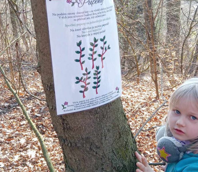 Obrázek galerie  30670