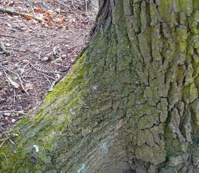 Obrázek galerie  30679