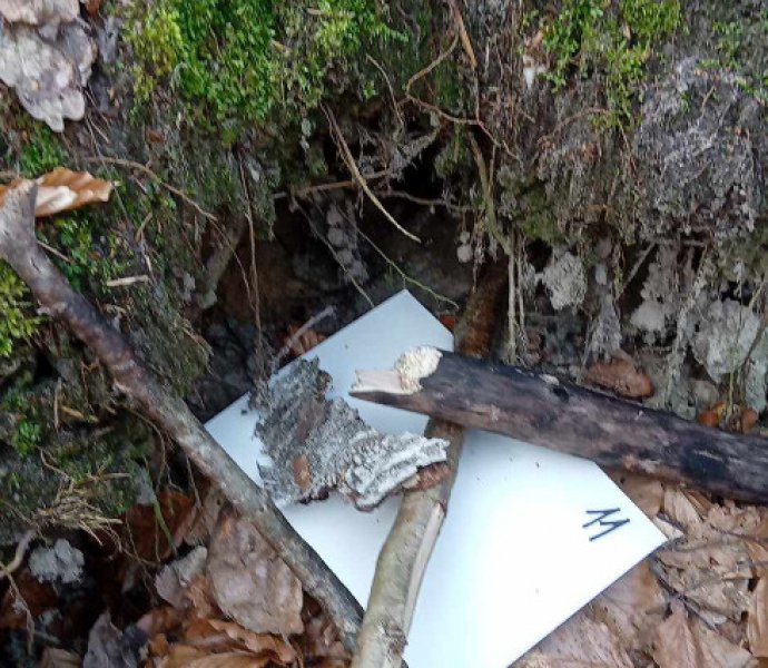 Obrázek galerie  30682