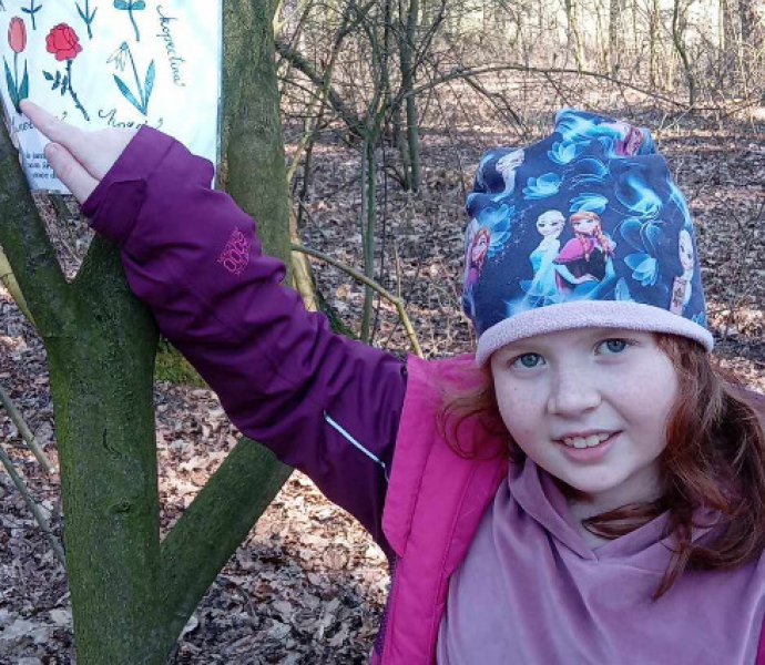 Obrázek galerie  30687