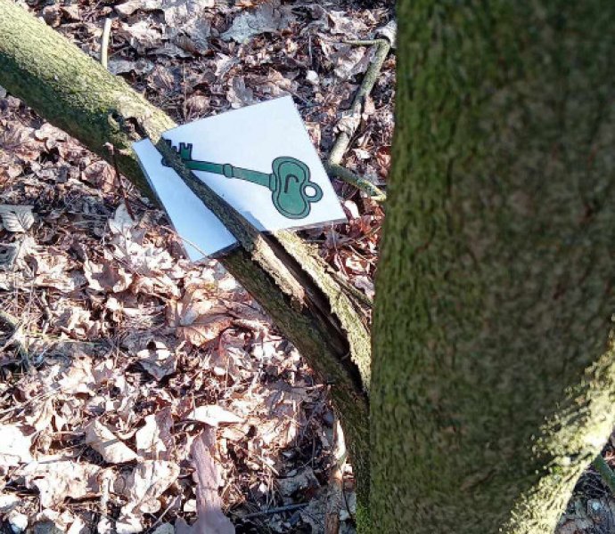 Obrázek galerie  30699