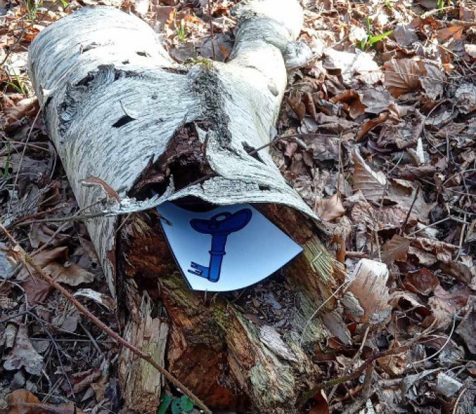 Obrázek galerie  30701