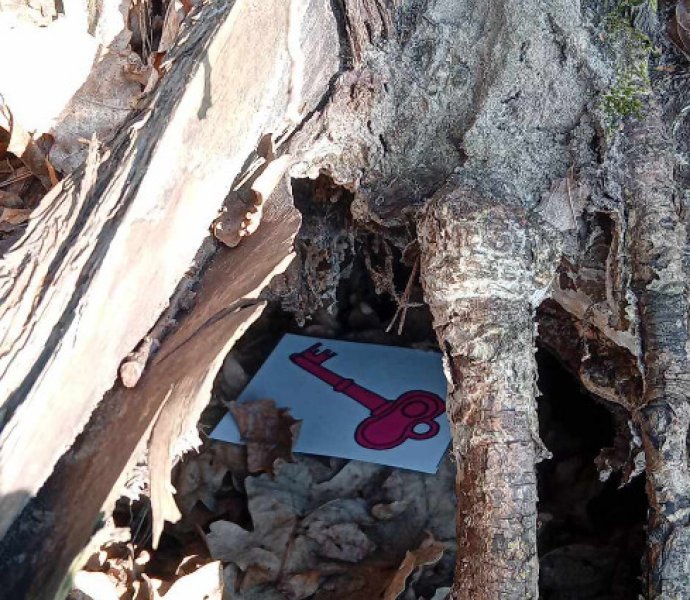 Obrázek galerie  30704