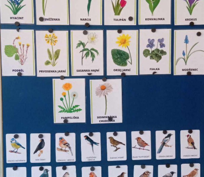 Obrázek galerie  30706