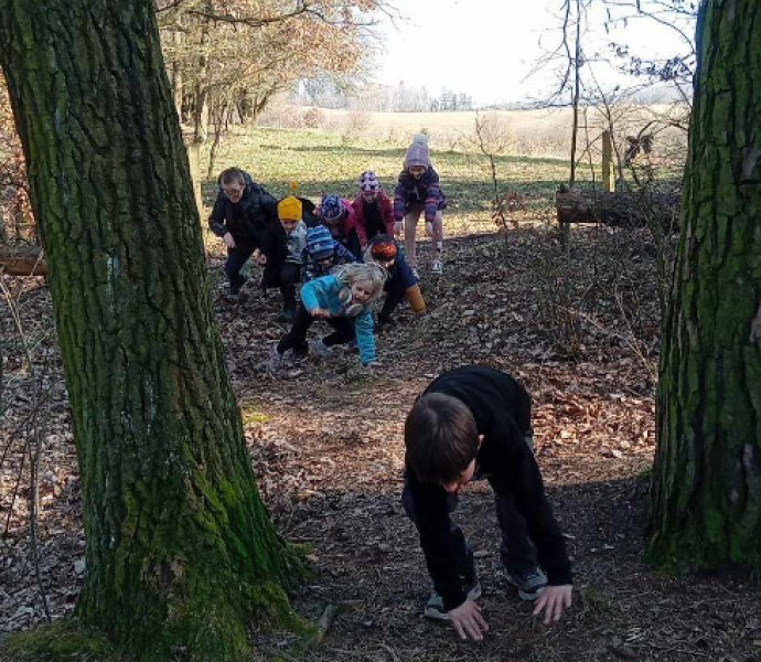 Obrázek galerie  30708