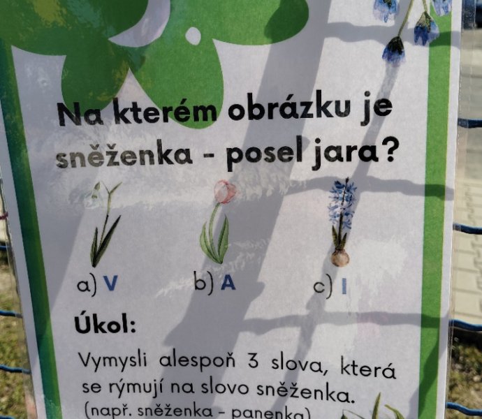 Obrázek galerie  30731