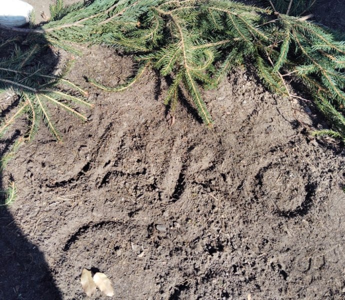 Obrázek galerie  30734