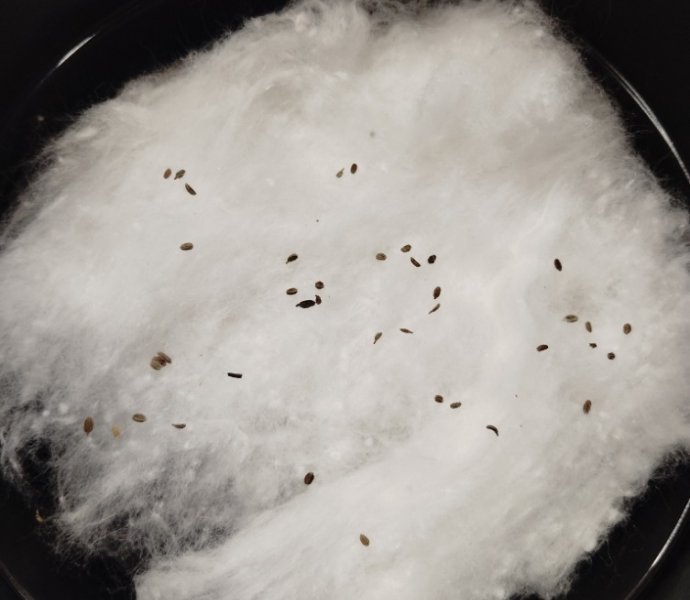 Obrázek galerie  30841