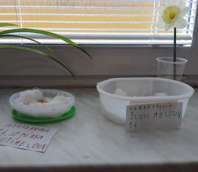 Obrázek galerie  30852