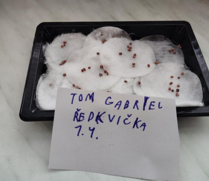 Obrázek galerie  30855